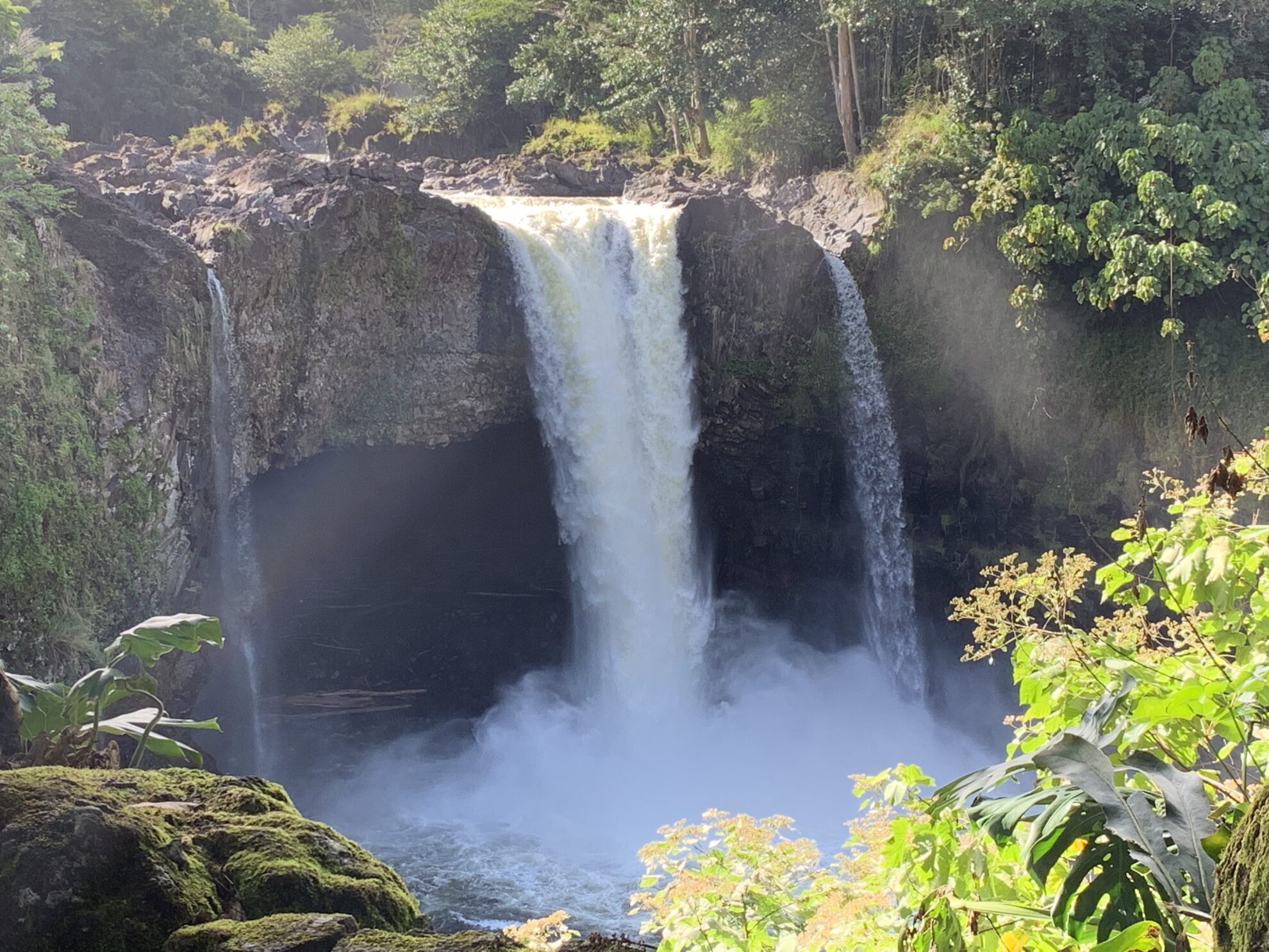 Kona Water 💦 Fall GANG